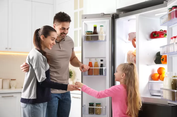 General Electric Yetkili Buzdolabi Servisleri 1